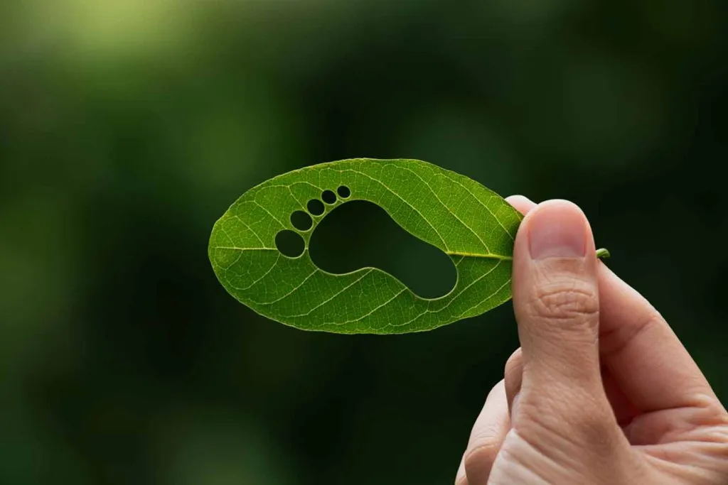 ECO4 Universal Credit